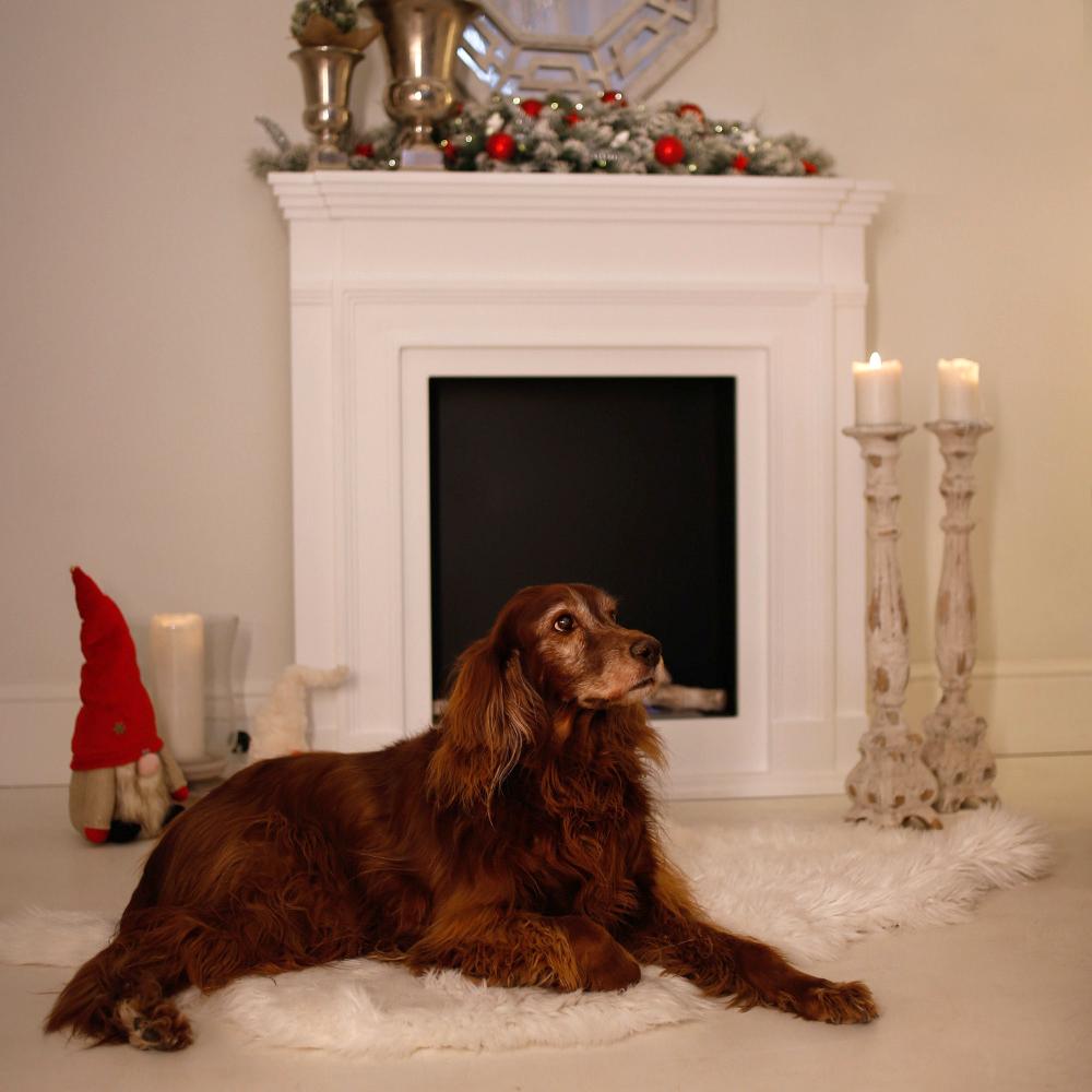 Portal Bioethanol fireplace LEGIONIS TÜV set