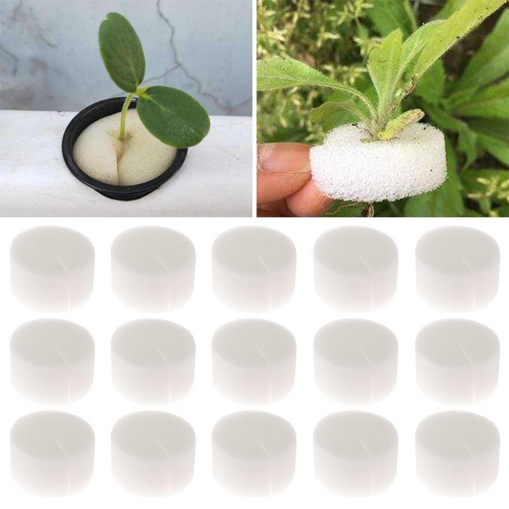 10/50pcs Durable Aquarium Planting Nursery Sponge Seed Trays Soilless Hydroponic Flower Pots
