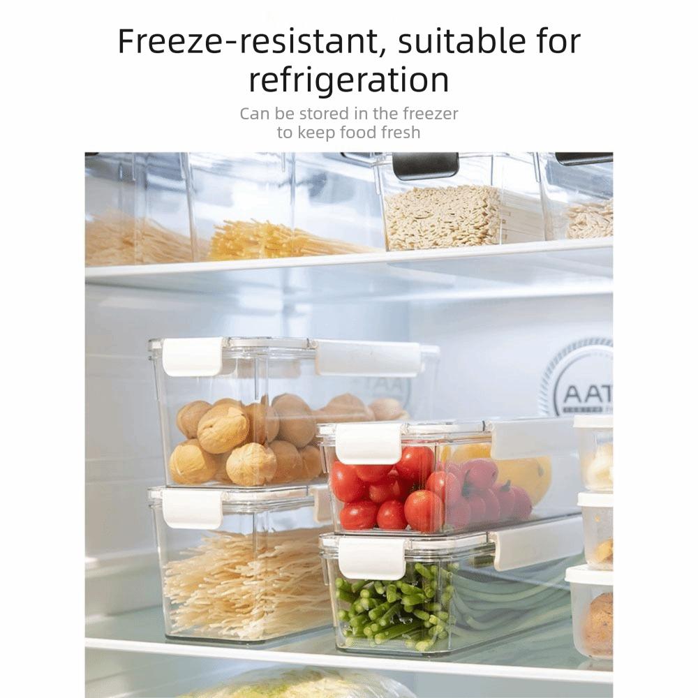 Sealed Pasta Storage Container Clear Plastic Fresh Keeper Box Spaghetti  Noodle Organizer  Fridge