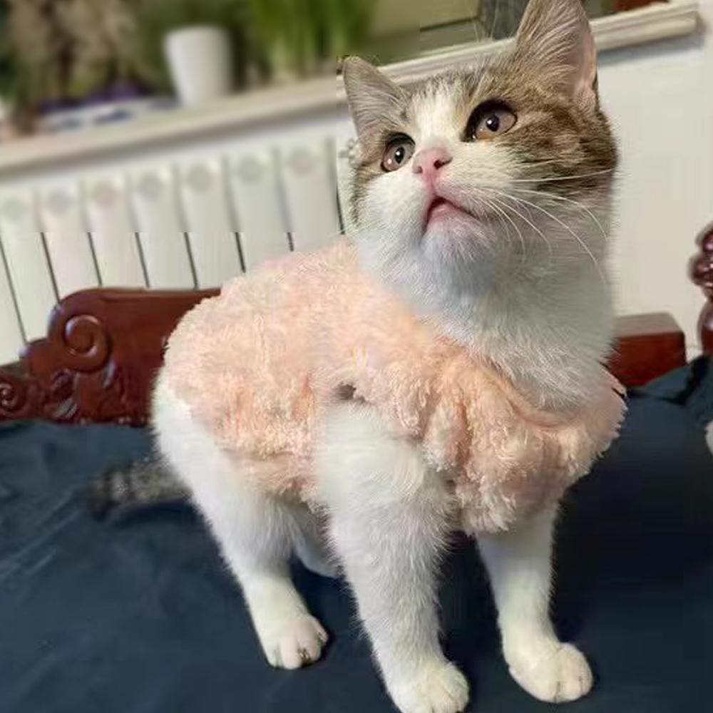 Small Dog Sweaters Soft Fleece Warm Coat Puppy Vest Jacket Pullover Comfortable Fashion Cat Sweaters Cold Weather Pet Clothes Chihuahua Yorkie Outfit