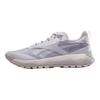 Reebok Кроссовки унисекс DMX Trail GORE-TEX Grey Stone Chalk 100200884