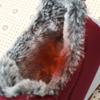 Fashion Comemore 2025 Winter Women Cotton Shoes New Casual Slip On Women Warm Comfortable Sneakers Fashion Outdoor Furry Vulcanize Shoes