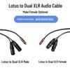 Разветвитель Lotus Dual XLR Male/Female для процессора эффектов, микшера, усилителя мощности