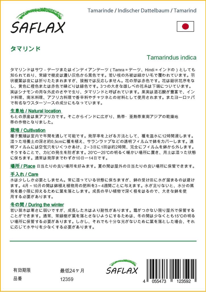 SAFLAX Подарочный набор - Тамаринд - 4 семени - С подарочной коробкой, карточкой, этикеткой и субстратом для горшков - Tamarindus indica