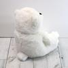 Takeoff Bear Frere S Polar Bear