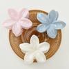 Gradient Frangipani Hair Clip Female Versatile Sweet Resort Fairy Shark Clip Vintage Hair Accessories