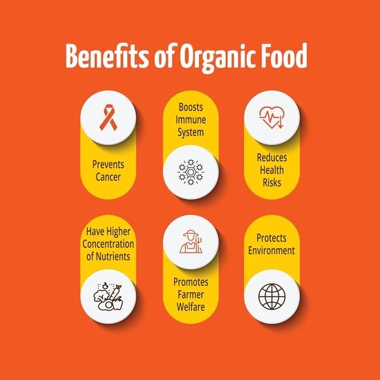 Pro Nature 100% Organic Quinoa, - 500 Gm