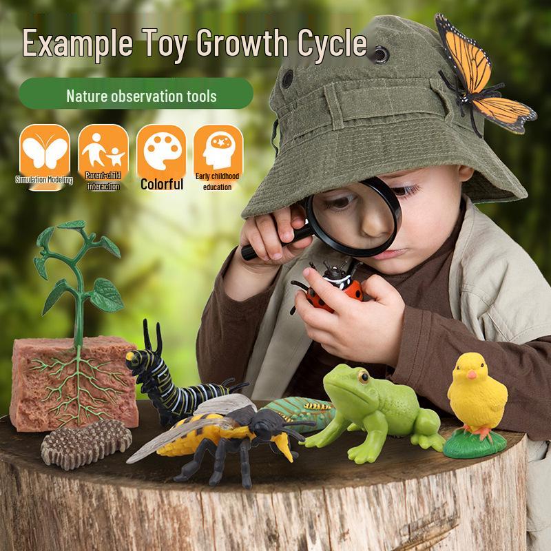 Montessori Animal & Plant Growth Cycle Teaching Toys for Kids
