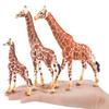 Cross-border Forest Animal Giraffe Model Desktop Decoration - Male & Female Static Ornaments & Toys