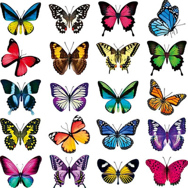 New 20PCS Butterfly Window Stickers Anti-Collision Window Clings Decals Reusable Glass Window Film Wall Stickers
