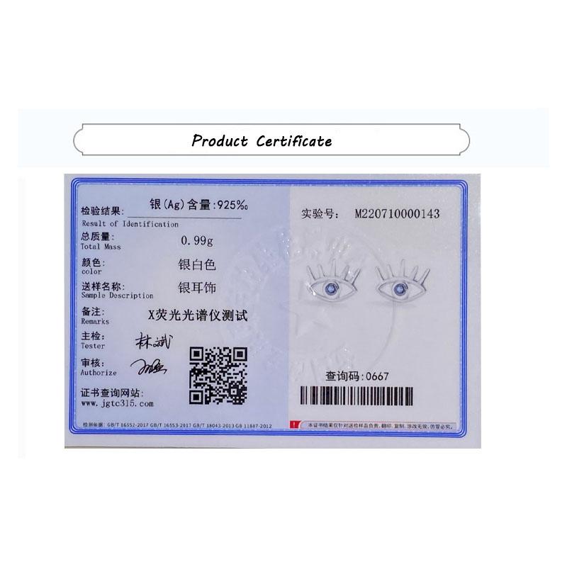 Creative Eye Shape S925 Silver Earring for Women's Simple Zircon Earrings Jewelry Anniversary Gift Sterling Silver Jewelry