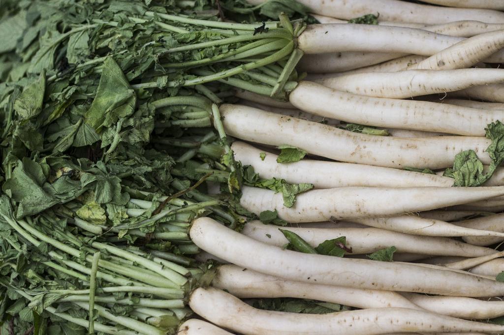 SAFLAX Сад в сумке - Органический - Редис - Длинная белая сосулька - 100 семян - С субстратом в подходящем стоячем мешке - Raphanus sativus