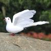 Bird Peace Dove Small Simulation Dove Creative White Pigeon  Garden
