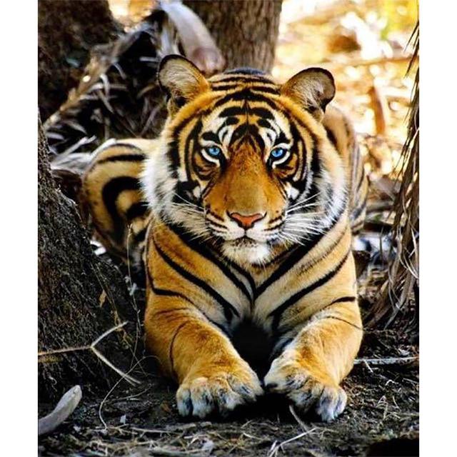 5D Алмазная картина Лев Мать и сын Набор для вышивки крестом Ручная алмазная вышивка Горный хрусталь