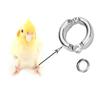 Activity Clip for Pigeon Bird Leash Accessories Bird Supplies Bird Leg Rings Parrot Foot Rings