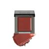 Infinity Color N 05 Brick Red Eye Lip Cheek Multicolor