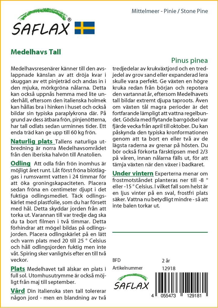 SAFLAX Сосна каменная - 6 семян - Pinus pinea