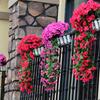 2 шт. искусственные подвесные фиолетовые цветы искусственные лозы с цветами искусственные подвесные растения фиолетовые цветы для украшения дома свадьбы сада двора