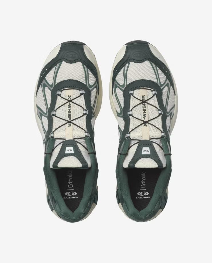 L49114500 Salomon XT-Whisper Ванильный Лед Зеленые Крыши (Мужской)