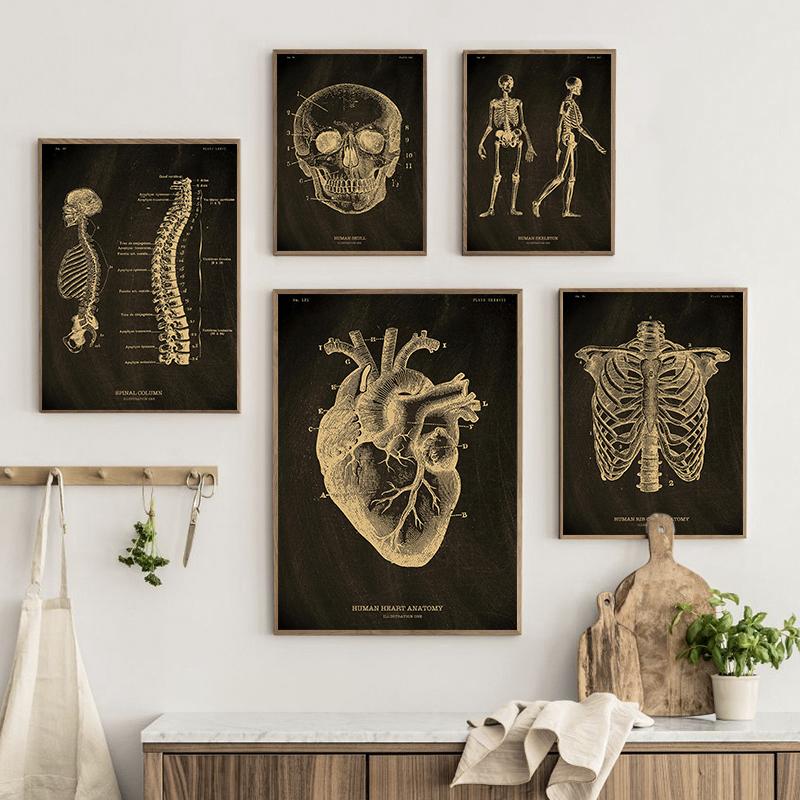 Анатомия человека, винтажный постер, скандинавский холст, художественный принт, золотой скелет, органы, живопись, настенные панно, медицинский домашний декор