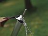 Snow Peak Wing Pole for Tent/Tarp