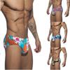 2024 European & American Low-Waist Sexy Fashion Print Men's Triangle Swim Trunks