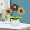 Вязаный крючком маленький цветок в горшке, стильный долговечный реалистичный букет из пряжи, украшение для дома, вязаный букет