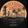 12-дюймовая пластинка BENJAMMIN - Continous Creation; Летающий Орган; C BJ1225 Доска Jung 2021 Европа Регги, Ска и Даб