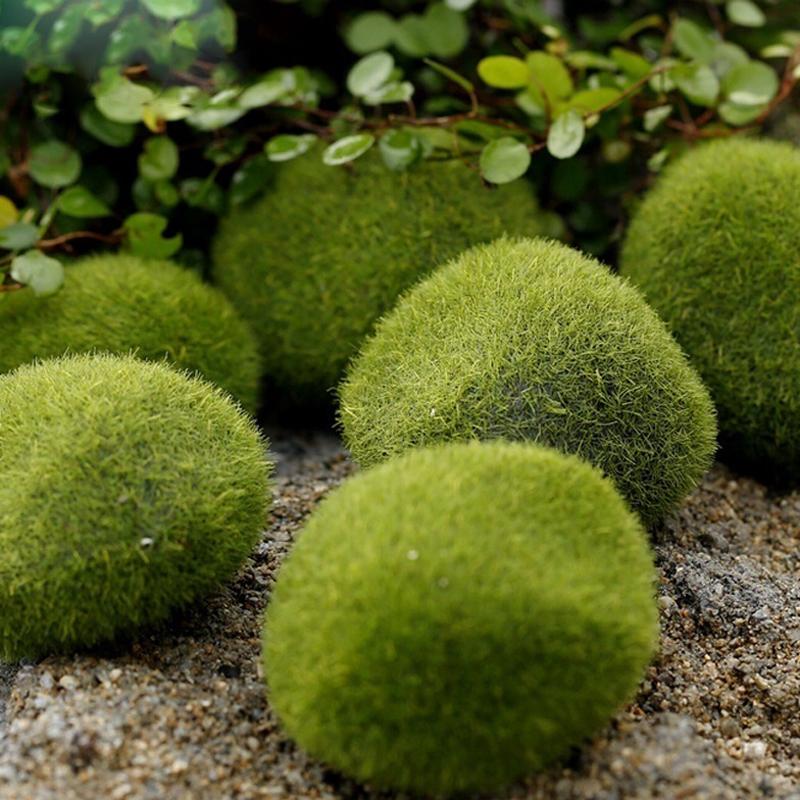 2/4/5/8/10 шт. микропейзаж мох зеленая трава фигурки миниатюрные украшения для мини DIY сказочный сад аквариум моделирование статуя ремесло