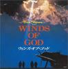 CD САУНДТРЕК - ВЕТРЫ БОГОВ VPCD81099 Япония Японские Саундтреки Б/У