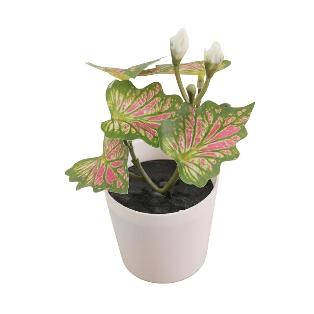 Green Green Plant Potted White Flowerpot Simulation Plant Potted Creative Desktop Ornament Gift