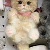 Cute Twist Stick High Beauty Cat Handmade DIY Weaving Desktop Ornament Bag Pendant Gift for Friends