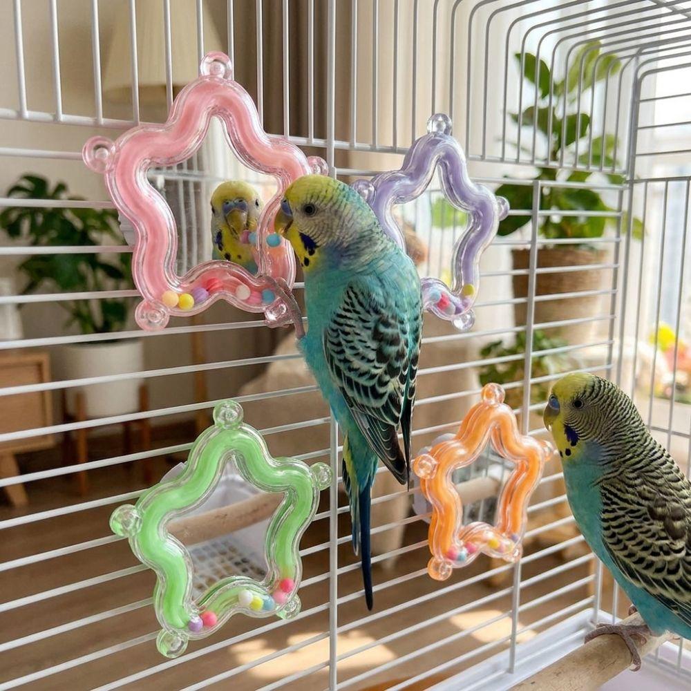 Spinner Rattle Bead Parrot Chew Spinning Toy Mirror Parrot Interactive Toy Bird Supplies