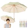 Folding For Both Sunny and Rainy UV Protection Light Heat Wind Water 8 Large Pistachio Core Umbrella, Days, Parasol, Women's, UPF50+, Blocking,