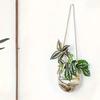 Transparent Hydroponic Hanging Vase Glass Flower Arrangement Bottle Flower Pot  Living Room