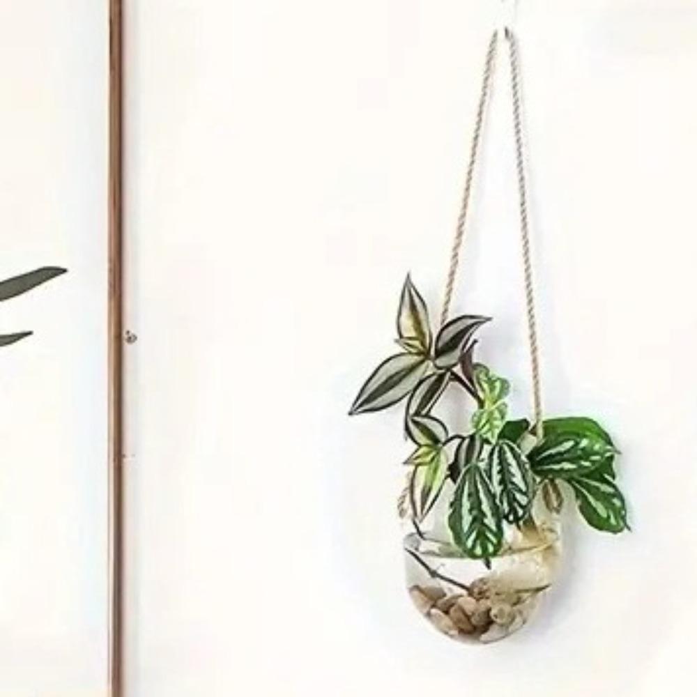 Transparent Hydroponic Hanging Vase Glass Flower Arrangement Bottle Flower Pot Living Room