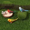Simulation Parakeet Miniature Landscape Ornament Artificial Bird Model Props