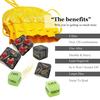 6 шт./набор игральных костей для пары, набор игральных костей для свиданий, 6/10/12 сторон, игральные кости для определения позиции поведения, подарок на День святого Валентина, годовщина, девушка, парень, муж, жена