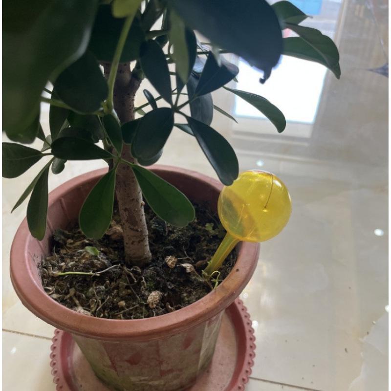 Automatic Flower Watering Globe – Ideal for Travel and Home Use. Contact Customer Service for Color Options.