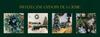 Artificial Christmas Tree 100% Pe Glow 2D Small Fir Tree Like A Natural Living One