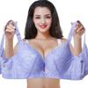 Lace Bra Push Up Bra CDE Cup Plus Size Women Underwear Brassiere Big Size Bralette Lingerie Sexy