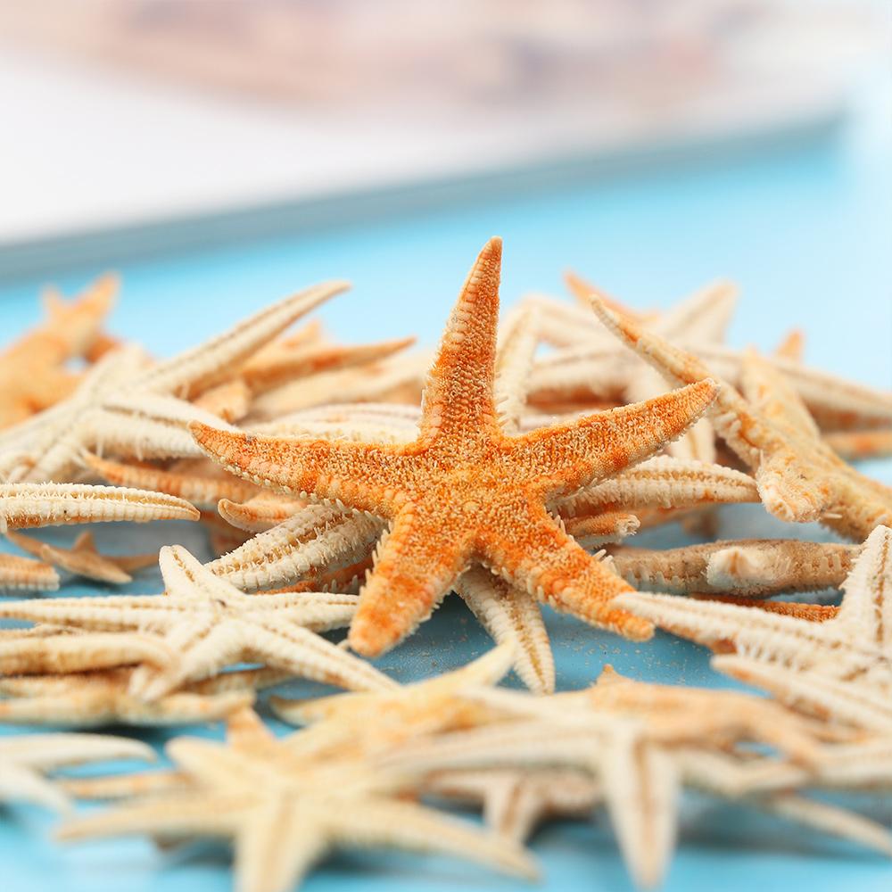 Вечерние свадебные украшения, смешанные морские звезды-натуральные аксессуары ручной работы, океанский декор, ракушки, морские звезды