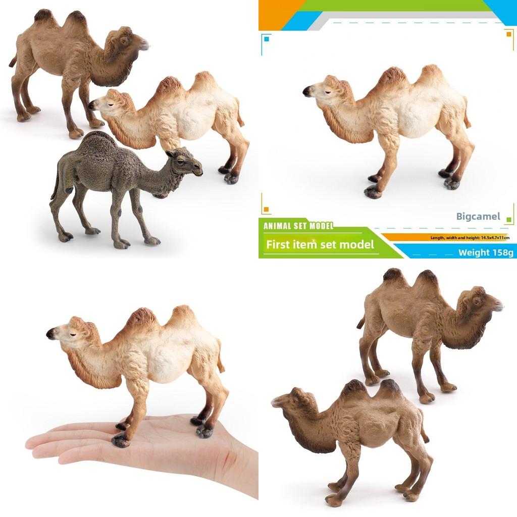 Desert Animal Pvc Figurine Twin Hump Camel Static Decor For Children Learning Play
