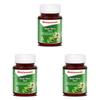 Baidyanath Aloe Vera 60 Tablets Daily Wellness Supplement Skin & Digestive Support Pack of 3 Vegetarian Gluten Free