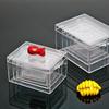 Premium Clear Plastic Storage Box for Insect Specimens Desktop Container