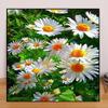 DIY алмазная живопись милый ромашка набор для вышивки крестом мозаика искусство алмазная живопись полный круг/квадратный алмаз украшение дома
