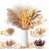 Source Yunnan Dried Flower Bouquet Combination, Real Flower Pampas Grass Home Decoration Reed Rabbit Tail Grass Dried Flowers