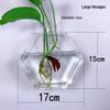 Creative Wall-Mounted Transparent Glass Vase for Plants and Fish