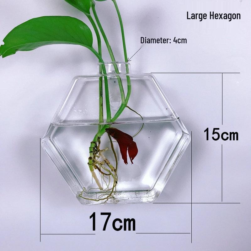 Creative Wall-Mounted Transparent Glass Vase for Plants and Fish