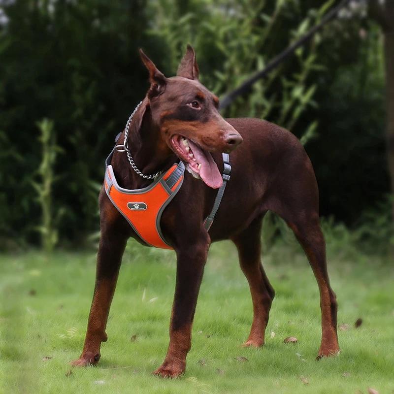 Astro Orange Dog Training Harness, Size Xl